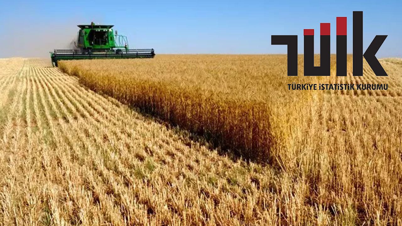 Türkiye İstatistik Kurumu'ndan tarımsal girdi fiyat endeksi açıklaması: “Yüzde 134,76 oranında yükseldi!”